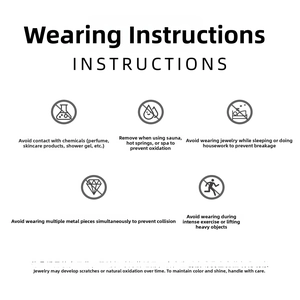 Detailed care guide icons for zircon jewelry maintenance and cleaning instructions