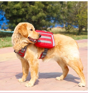 Detail of red dog backpack harness with reflective safety strips for large pets