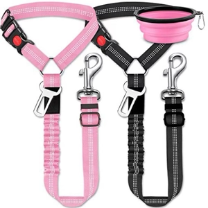 Détail de ceintures de sécurité pour chien avec coutures réfléchissantes et bol pliable