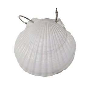 Artistic shell journal with metal rings made of natural white scallop shells