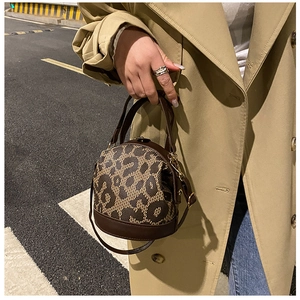 Close-up of leopard print handbag with brown leather trim and golden metal hardware