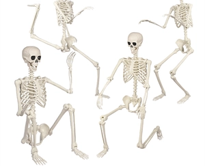 Four 165cm lifelike poseable plastic skeletons for Halloween yard and indoor decor