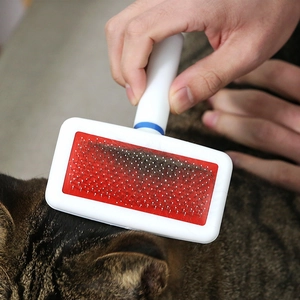 Self-cleaning slicker brush for cats and dogs grooming loose fur on a tabby cat