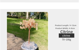 Detail of Citrine tree height 9-12cm with measurements and natural stone base