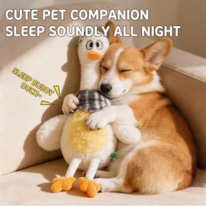 Plush duck dog toy with plaid scarf, held by Corgi sleeping on a beige sofa
