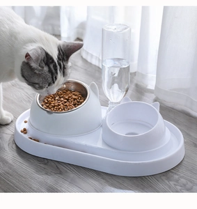 Cat feeding from double bowl station with stainless steel basin and auto water bottle