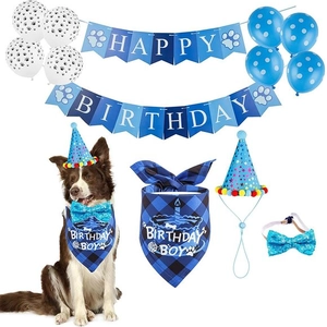 Blue dog birthday party kit including hat, scarf, bow tie and balloons for pets