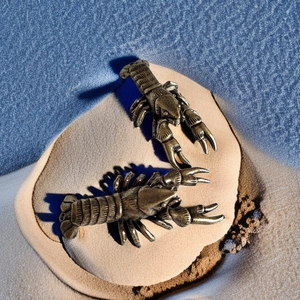 Retro brass crayfish figurine set on stone with blue ocean sand background decor
