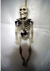Close-up of a realistic hanging skeleton prop with twine loop and vintage finish