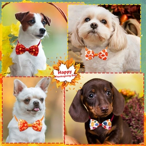 Thanksgiving pet bowties featuring pumpkin and maple leaf prints for cats and dogs