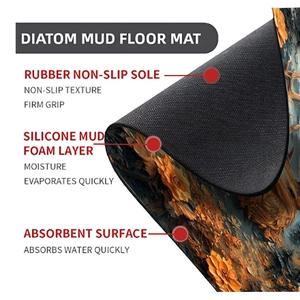 Detailed cross-section showing multi-layer absorbent diatom mud mat with anti-slip rubber base