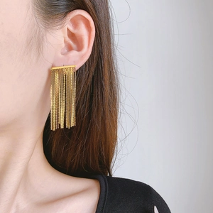 Stainless Steel S-Shaped Chain Tassel Earrings 18K Gold Plated Long Dangle Drop Fashion Jewelry For Women Trendy Ins Style
