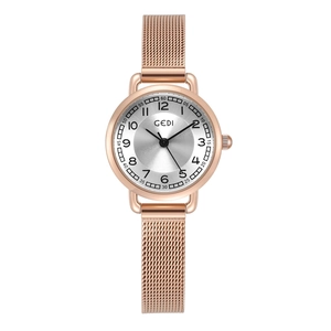 Minimalist rose gold women's watch with silver dial and Milanese mesh band