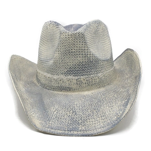 Detailed view of western cowboy hat featuring blue and beige snakeskin pattern texture