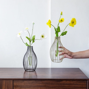 Modern minimalist lantern hydroponic metal vase set with glass tubes and poppy flower decor