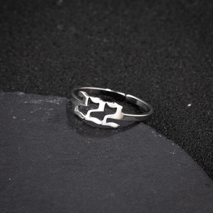 Detail of silver stainless steel ring with gothic 222 number on black rock background