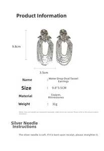 Detail view of rhinestone tassel earrings measuring 9.8cm by 3.5cm with silver needle