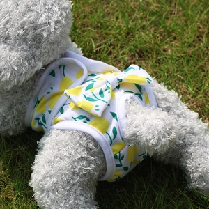 Detailed view of female dog hygiene pants with yellow lemon pattern on a gray poodle
