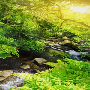 Dettaglio del arazzo forestale con trama del tessuto fine e paesaggio naturale