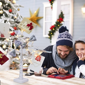 Illuminated birch tree stand holding Christmas cards and money in a festive home setting