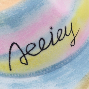 Macro detail of wool felt hat showing colorful gradient pattern and handwritten logo