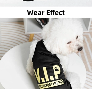 Close-up of a white dog wearing a black V.I.P printed breathable pet vest in a warm setting