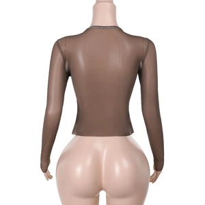 Vue arrière du crop top marron en mesh transparent avec manches longues serrées