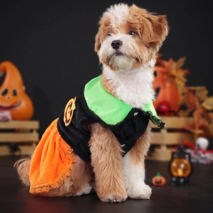 Detail of Halloween dog dress with pumpkin charm, lace hem, and bright green collar