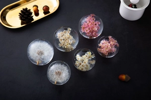 Collection of six crystal glass balls featuring preserved dandelions and dried flowers