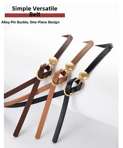 Details minimalistischer Ledergürtel mit goldenen Legierungsschnallen in verschiedenen Farben