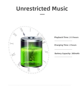 Detail of 300mAh battery for wireless speaker showing 2-3 hours playback time