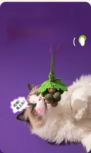 Ragdoll cat biting grape-shaped catnip toy with felt leaves and woven cord detail