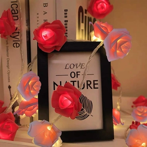 Close-up of LED rose flower string lights wrapped around a frame for romantic decor