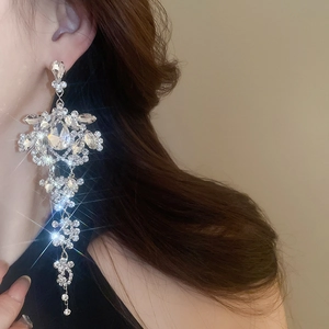 Macro view of long silver tassel earrings with sparkling rhinestones worn by a model