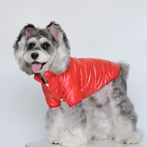 Gilet rouge imperméable pour petit chien avec boutons-pression blancs de près