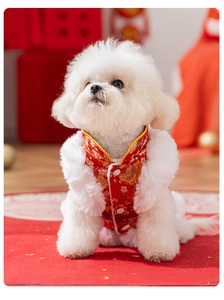 Vue détaillée du gilet rouge pour chien en soie avec broderie chinoise traditionnelle