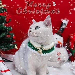 Collier de Noël pour animaux avec clochette porté par un chien avec décorations