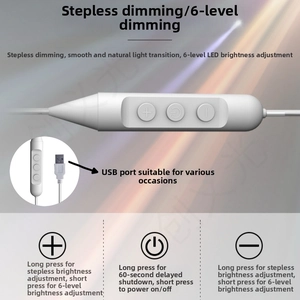 USB controller detail for LED neon sign showing brightness adjustment and dimmer buttons