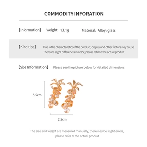 Informations détaillées sur la taille et dimensions des boucles d'oreilles ananas