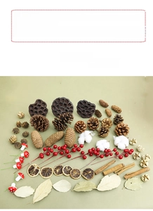 Flat lay of natural dried pine cones, lotus pods, and cotton flowers for DIY Christmas decor