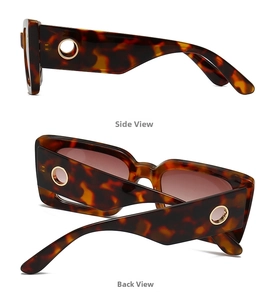 Detail view of tortoiseshell sunglasses featuring golden hollow metal circle on side arms