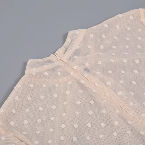 Detail view of the mesh neckline and rear invisible zipper on the polka dot mesh dress