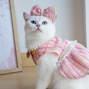Pink tweed pet dress with matching bow hair clip and pearl necklace on a cat