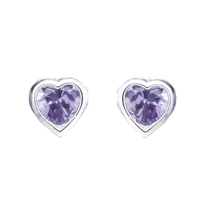 Detailed close-up of purple heart-shaped stud earrings with polished silver frames