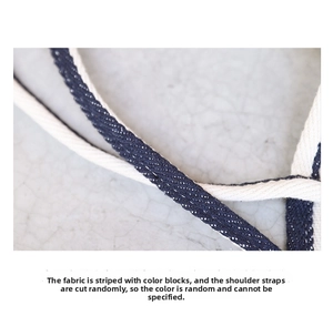 Close-up of striped canvas shoulder strap with navy and beige textured woven fabric
