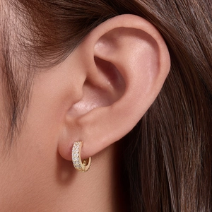 Minimalist gold S925 sterling silver hoop earrings with double row zircon micro-paving