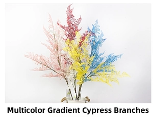 Detail of colorful gradient cypress branches in white bucket for home decor