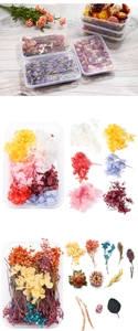 DIY preserved floral kit with dried hydrangea and gypsophila in clear boxes