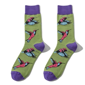 Close-up of olive green crew socks featuring purple accents and colorful hummingbird patterns