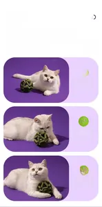 Λεπτομέρεια πράσινης σφαίρας με catnip για οδοντικό καθαρισμό και παιχνίδι γάτας